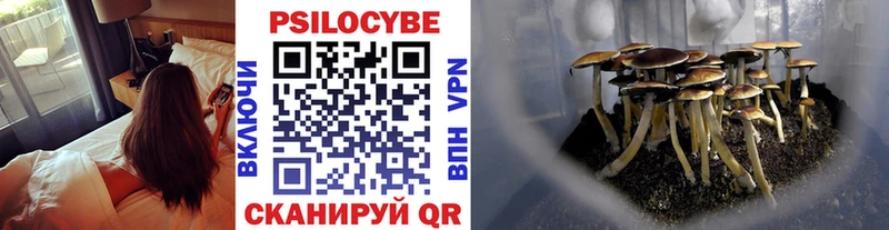 Псилоцибиновые грибы GOLDEN TEACHER  Купить закладки  Буй 