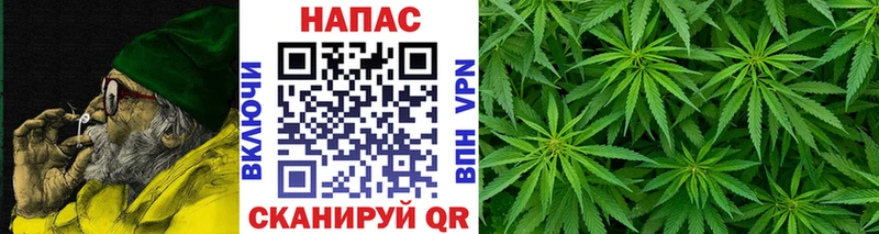 Каннабис VHQ  Купить закладки  Буй 